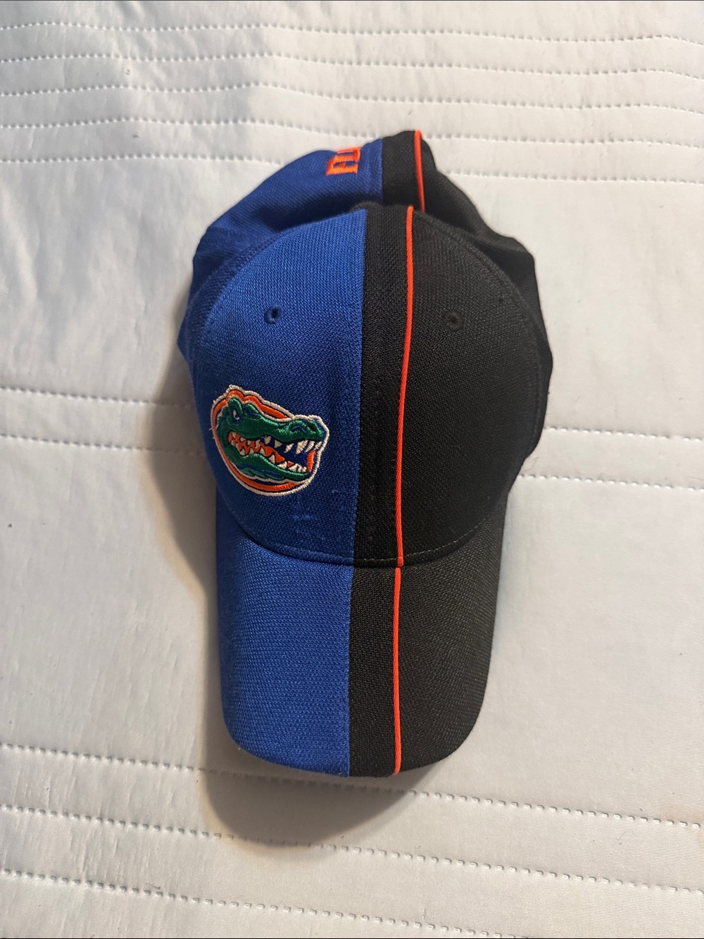 Nike Florida Gators Hat